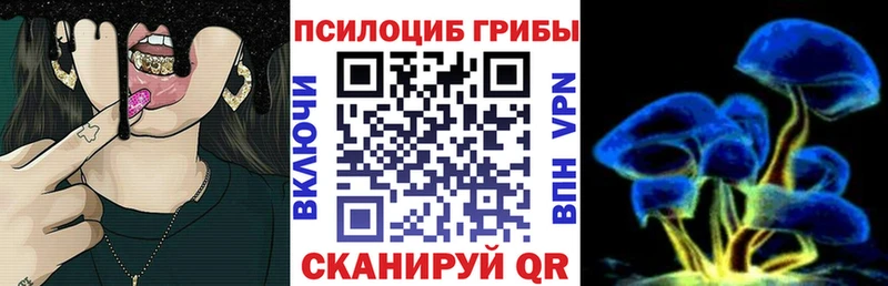 это клад  Мглин  Галлюциногенные грибы мухоморы 
